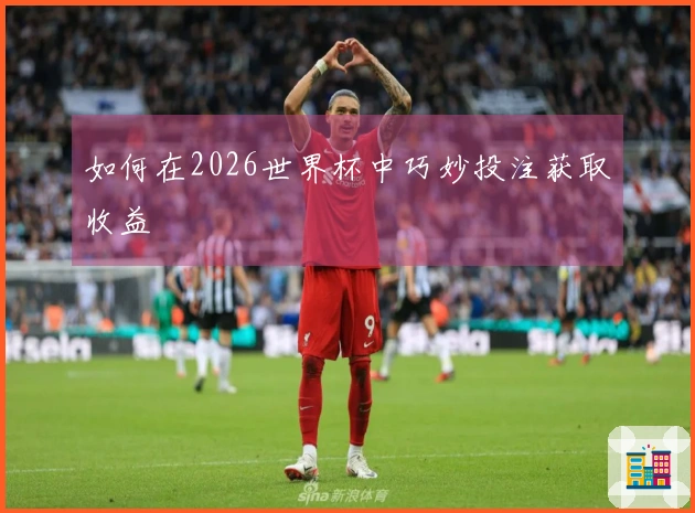 如何在2026世界杯中巧妙投注获取收益