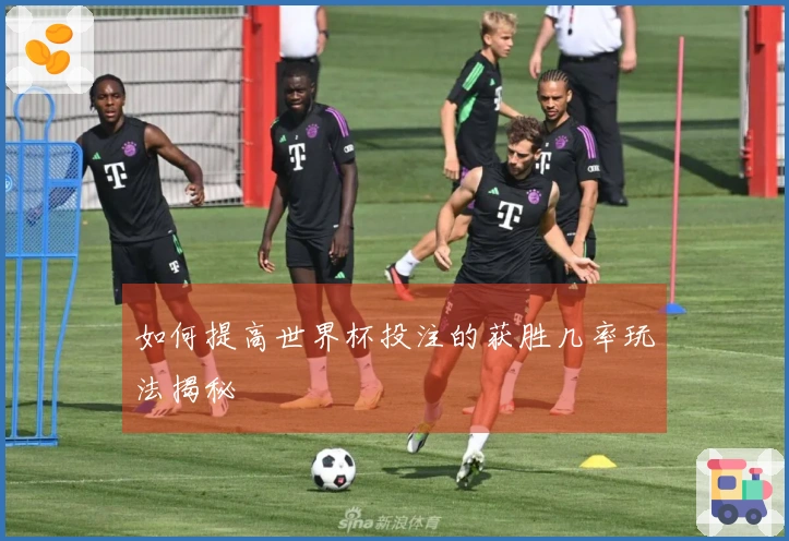 如何提高世界杯投注的获胜几率玩法揭秘