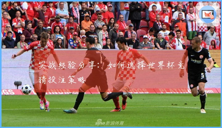 实战经验分享：如何选择世界杯竞猜投注策略