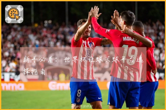 新手必看：世界杯让球买球平台选择指南