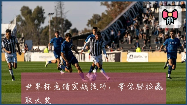 世界杯竞猜实战技巧，带你轻松赢取大奖