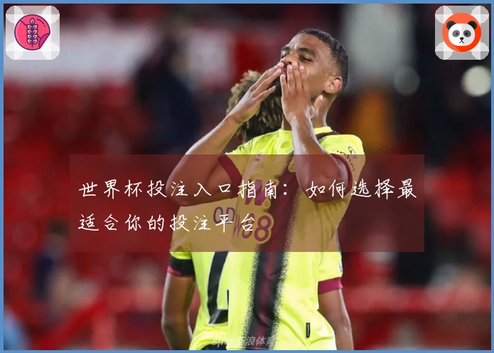 世界杯投注入口指南：如何选择最适合你的投注平台