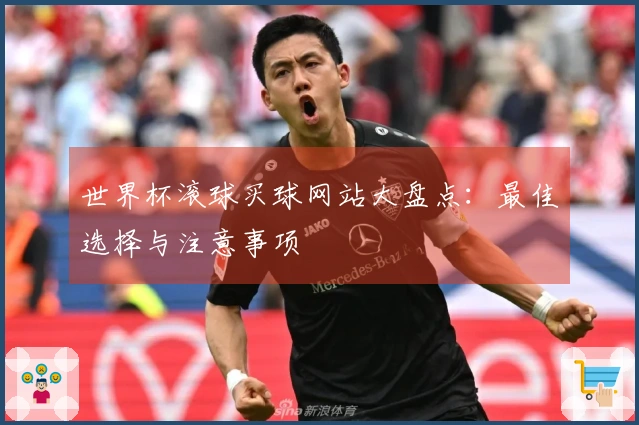 世界杯滚球买球网站大盘点：最佳选择与注意事项