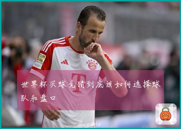 世界杯买球竞猜到底该如何选择球队和盘口