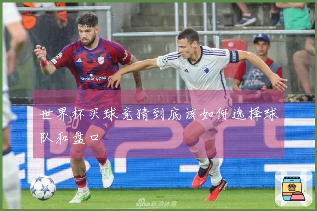 世界杯买球竞猜到底该如何选择球队和盘口