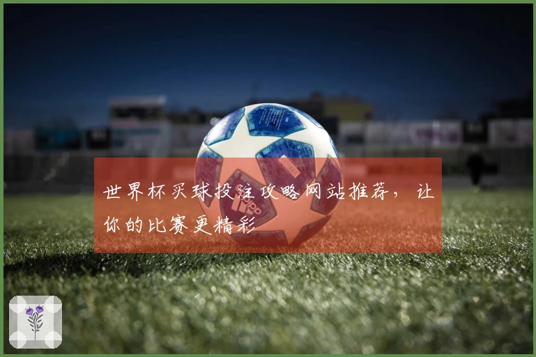 世界杯买球投注攻略网站推荐，让你的比赛更精彩