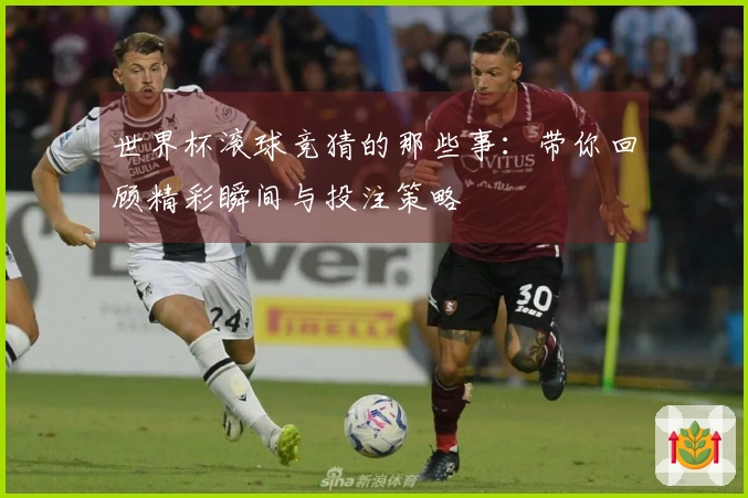 世界杯滚球竞猜的那些事：带你回顾精彩瞬间与投注策略